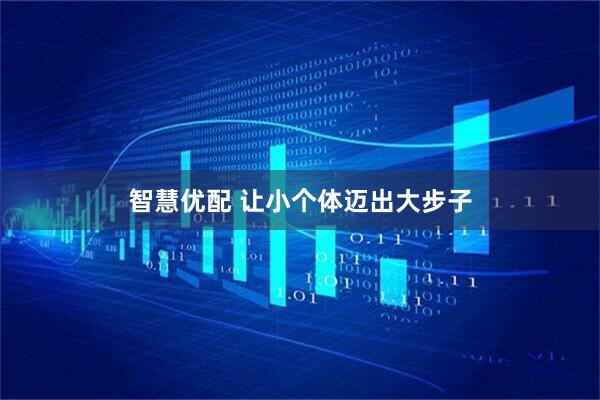 智慧优配 让小个体迈出大步子