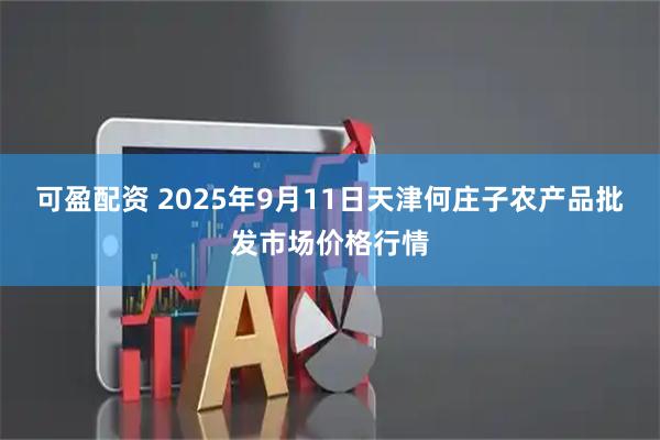 可盈配资 2025年9月11日天津何庄子农产品批发市场价格行情