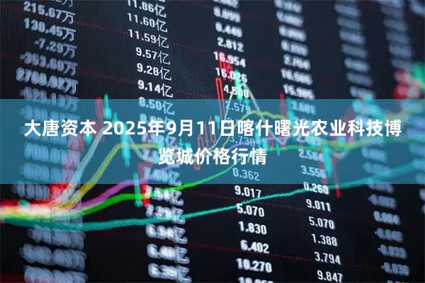 大唐资本 2025年9月11日喀什曙光农业科技博览城价格行情