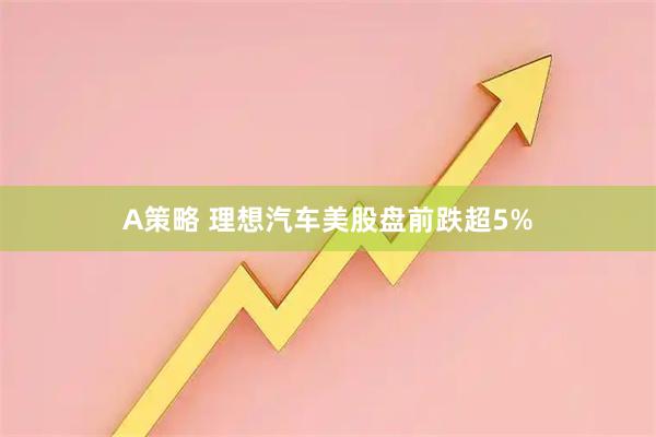 A策略 理想汽车美股盘前跌超5%