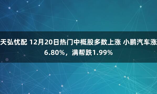 天弘忧配 12月20日热门中概股多数上涨 小鹏汽车涨6.80%，满帮跌1.99%