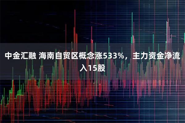 中金汇融 海南自贸区概念涨533%，主力资金净流入15股