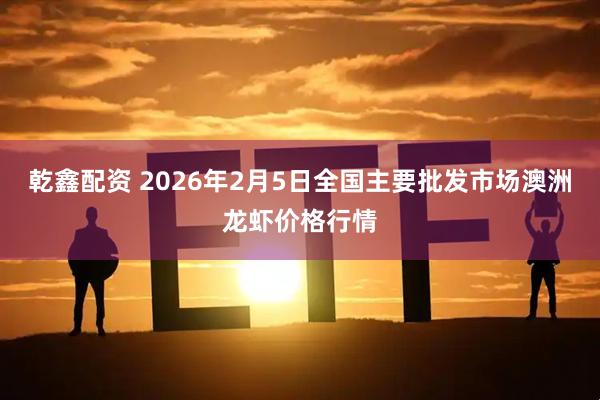 乾鑫配资 2026年2月5日全国主要批发市场澳洲龙虾价格行情