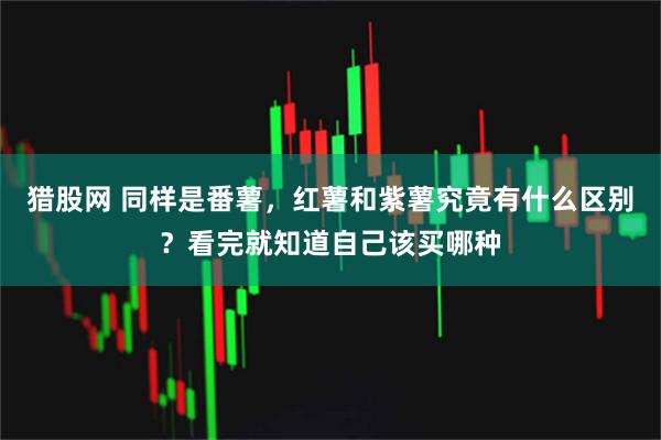 猎股网 同样是番薯，红薯和紫薯究竟有什么区别？看完就知道自己该买哪种